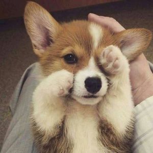 Meet your Posher, Rickie